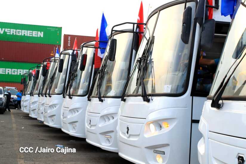 BUSES